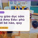 Dịch vụ giáo dục sớm tại nhà AMY EDU giúp ba mẹ chọn lộ trình phù hợp với từng bé.