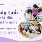 Trẻ mấy tuổi có thể bắt đầu đi học mầm non tại AMY Schoo